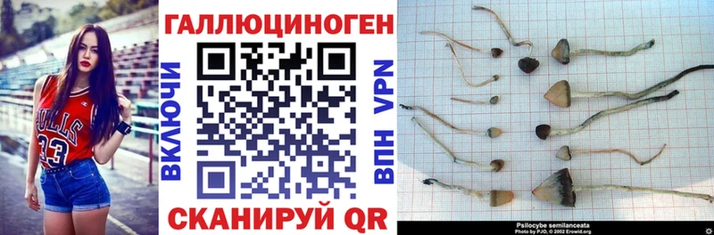 Купить где  Реж  Галлюциногенные грибы Magic Shrooms 